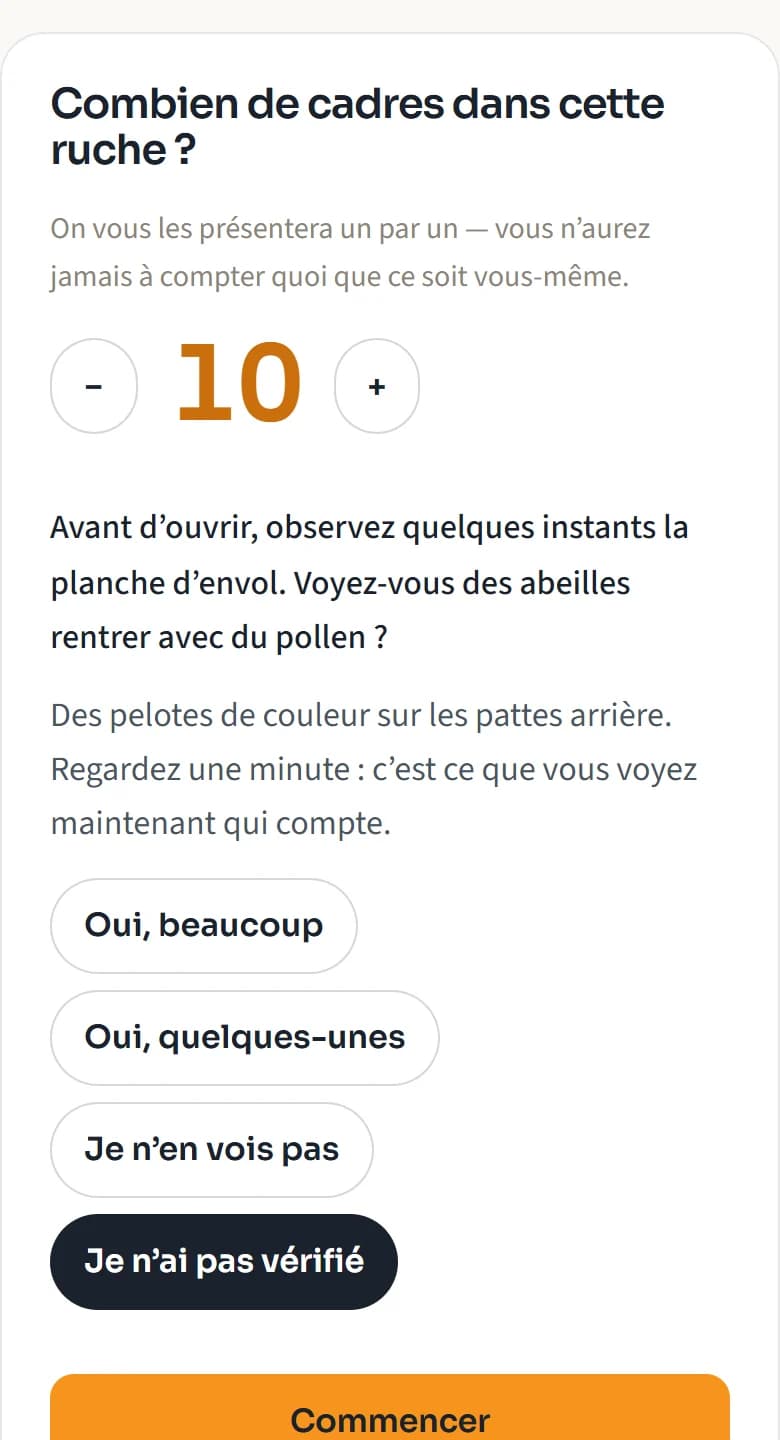 Le début d’une visite guidée sur téléphone : nombre de cadres et première observation.